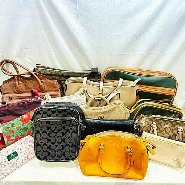 A collection of assorted handbags and shoulder bags arranged on a white backdrop.