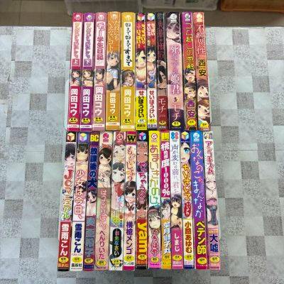 Photo of a 24-volume comic book set arranged in two rows showing their spines on a table.