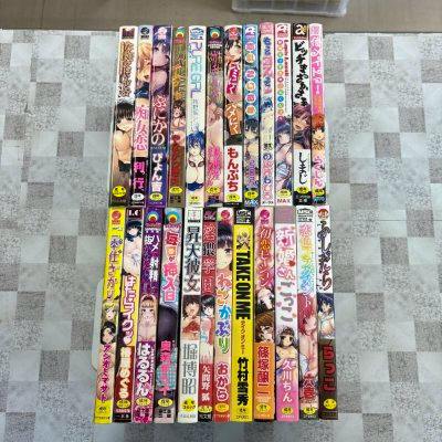 Photo of 24 Japanese comic books (manga) arranged standing with their spines visible on a tiled surface.