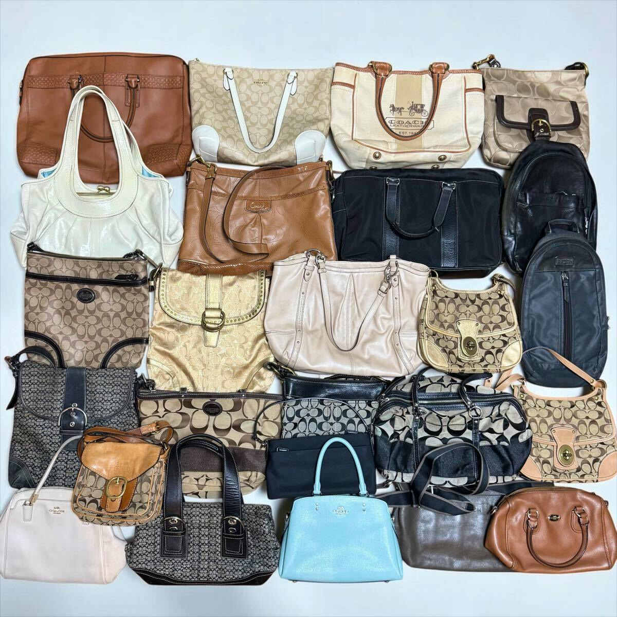 Flat lay of a set of Coach leather and signature canvas bags arranged on a white background.