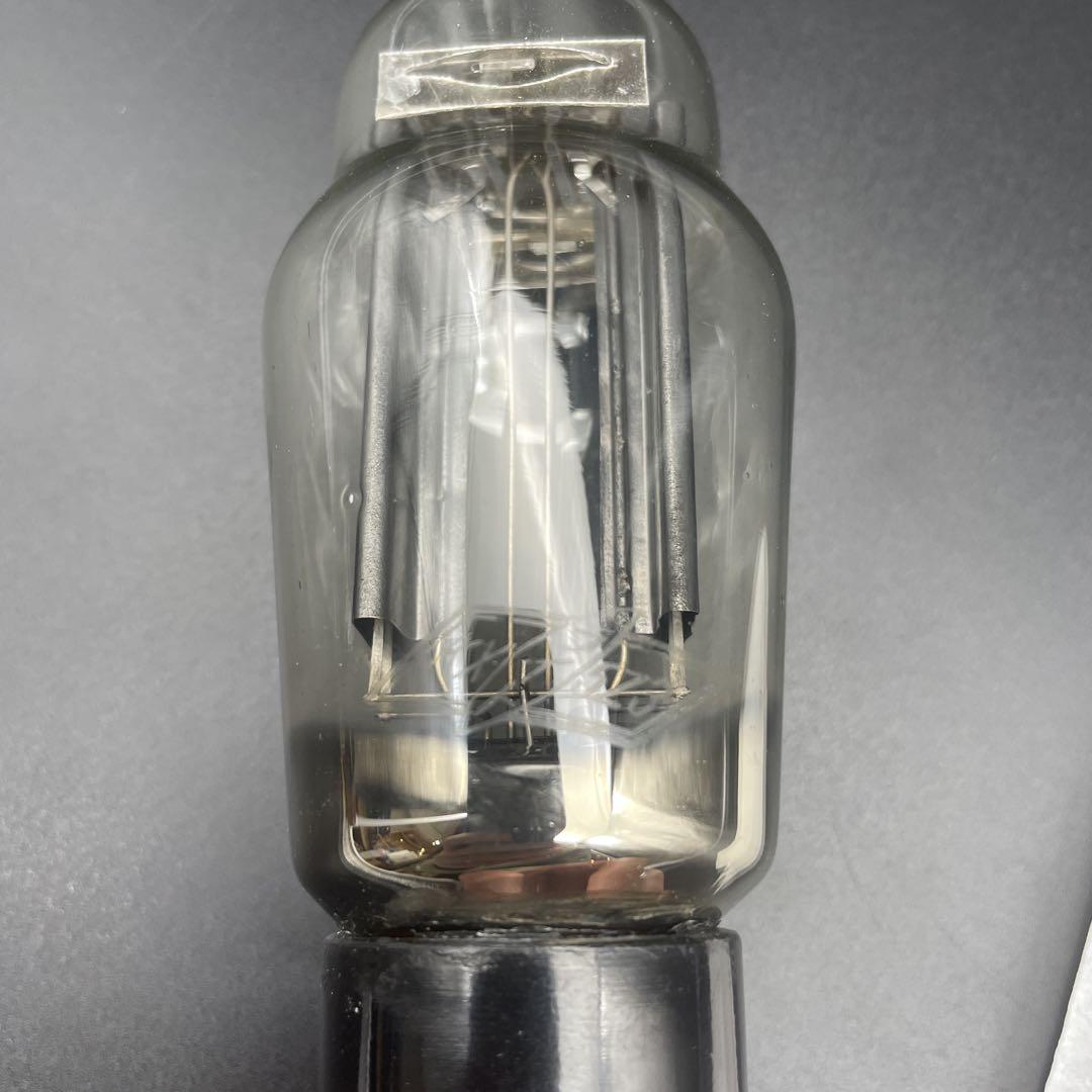 Upright 5Z3 vacuum tube showing its glass envelope, internal electrodes, and black base.