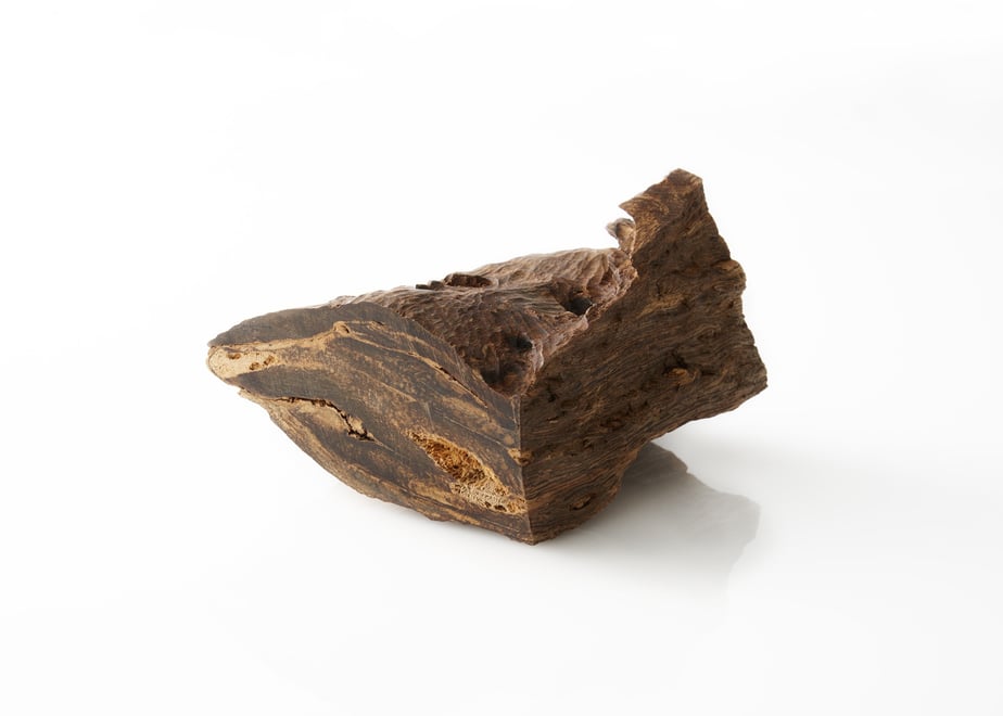 A single piece of dark agarwood (incense wood) photographed on a white background.