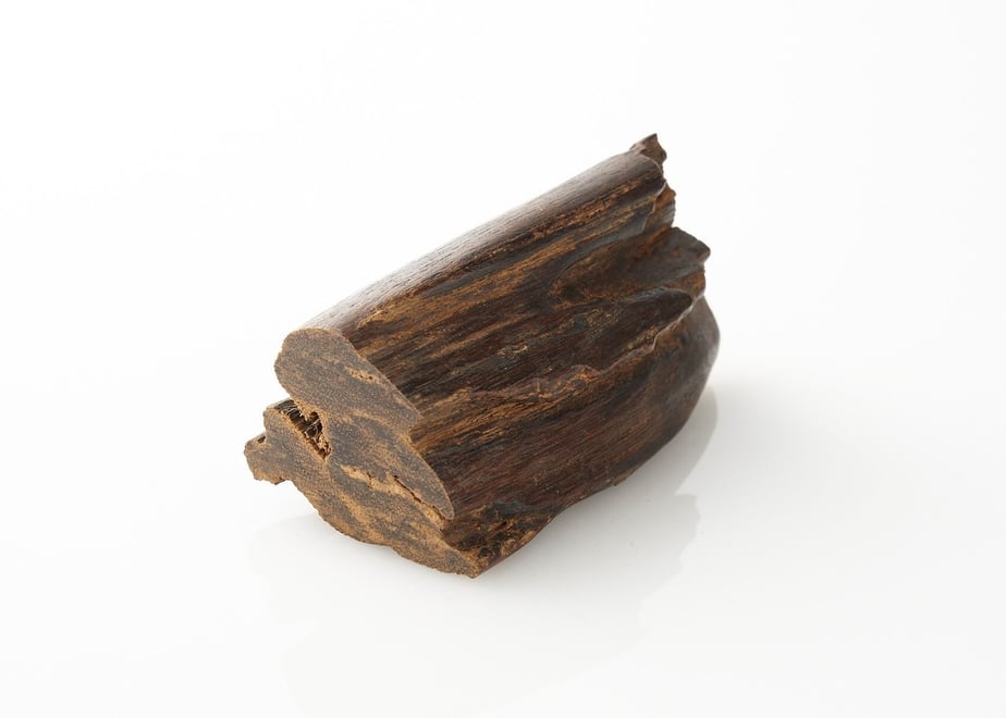 A dark brown piece of agarwood incense on a white background.