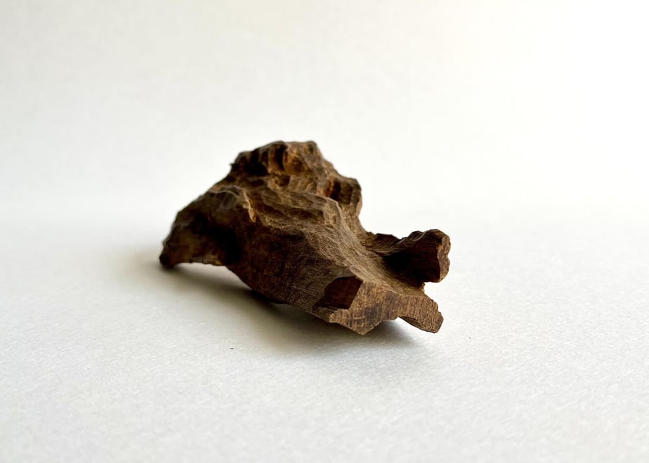 A small piece of agarwood (incense) photographed on a white background.