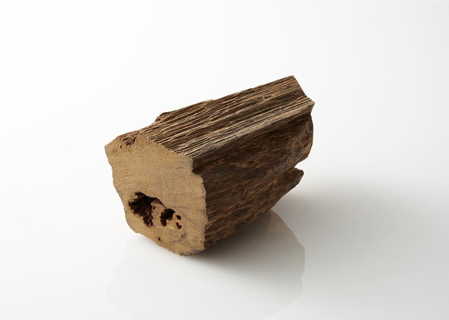A small irregular piece of agarwood incense on a white reflective background.