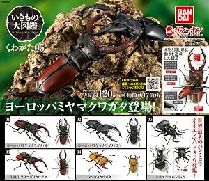 Promotional image showing plastic beetle capsule toy figures on packaging art with multiple beetle models and a Bandai logo.
