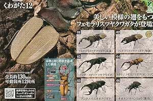 Printed product sheet showing multiple beetle capsule toy figures and Japanese text.