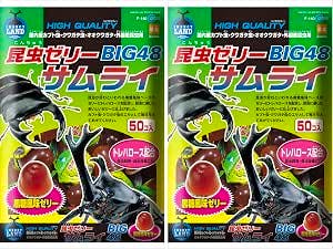 Front-facing photo of two packaged beetle jelly bags with beetle illustrations and Japanese text on the packaging.