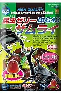 Front of the Insect Jelly "Big 48" packaging showing jelly cups and illustrations of large beetles.