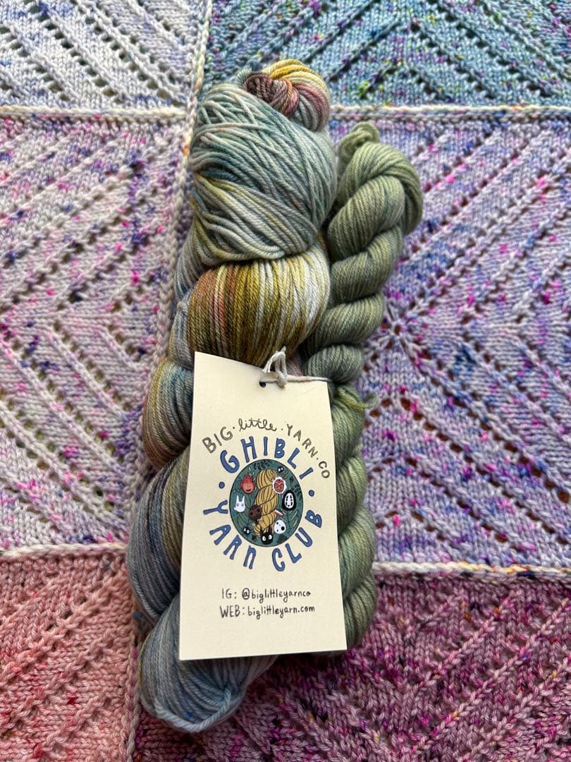 Two skeins of Big Little Yarn Co. yarn with a branded hang tag laid on a knitted background.