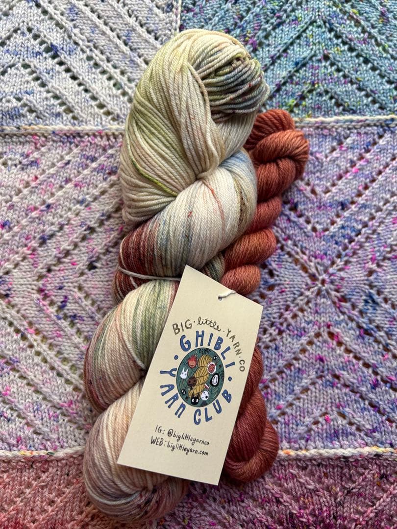 Two skeins of yarn with a BIG LITTLE YARN CO. tag placed on a knitted fabric background.