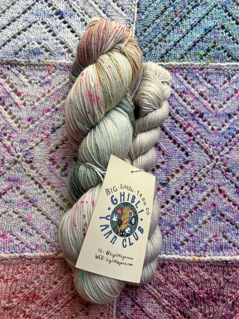 Two skeins of Big Little Yarn Co. yarn in pastel speckled colors on a knitted background with a Big Little Yarn Club hang tag.
