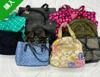 A group of assorted handbags and backpacks arranged together on a white surface, showing different colors and patterns.