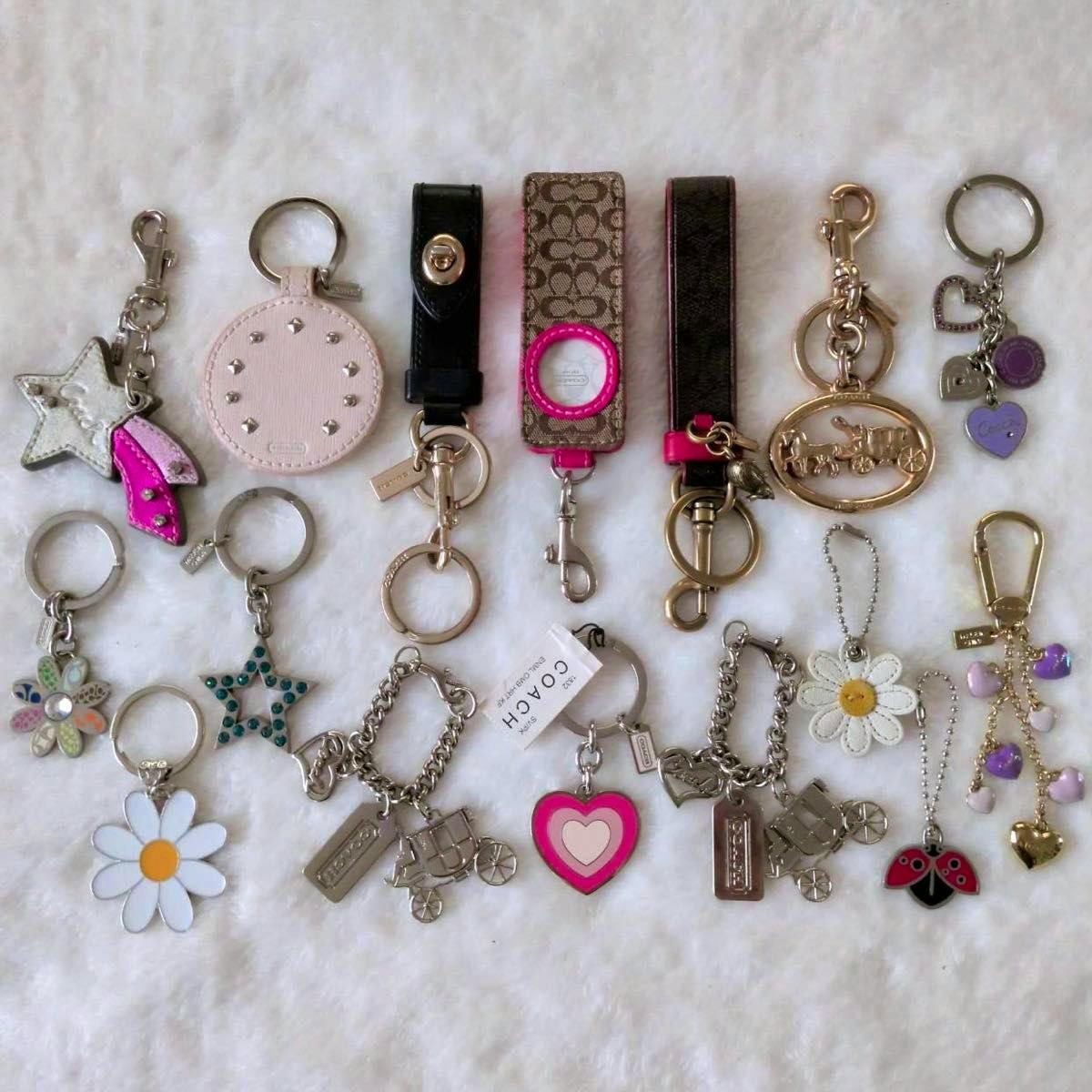 Top-down photo of sixteen Coach keyrings and bag charms arranged on a white background.