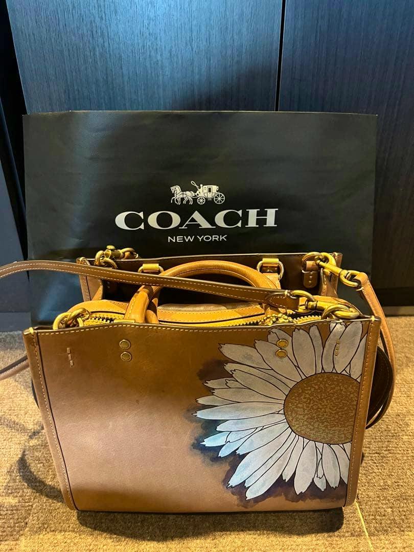 Brown Coach cow leather bag with a large painted daisy on the front, handles and a shoulder strap visible, placed in front of a Coach shopping bag.