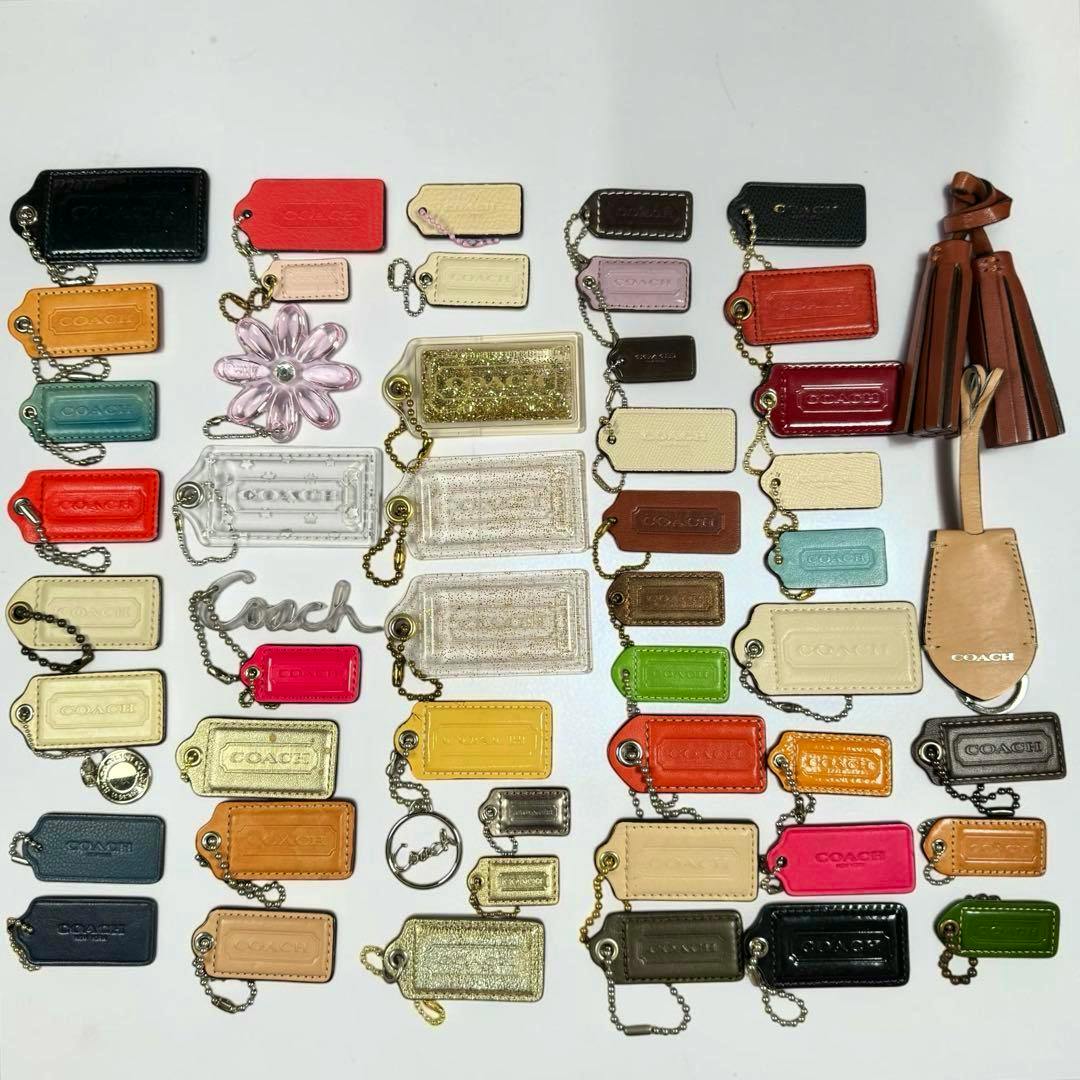 Assortment of COACH keychain tags, leather tassels, and acrylic charms arranged on a white background.