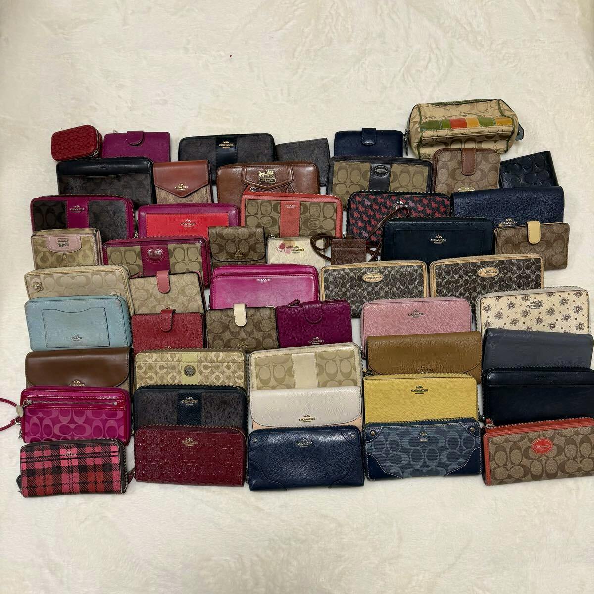 A large spread of Coach wallets and small accessories arranged on a light background showing various colors and signature patterns.