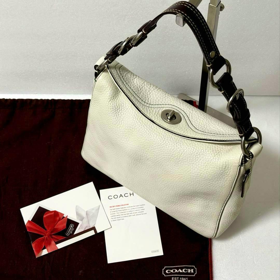 White Coach leather hobo shoulder bag with a dark leather chain-link strap shown on a Coach dust bag with accompanying cards.