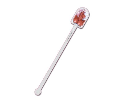 A long acrylic plastic drink stirrer (muddler/spoon) with a printed Anette character illustration on the rounded top shown on a white background.