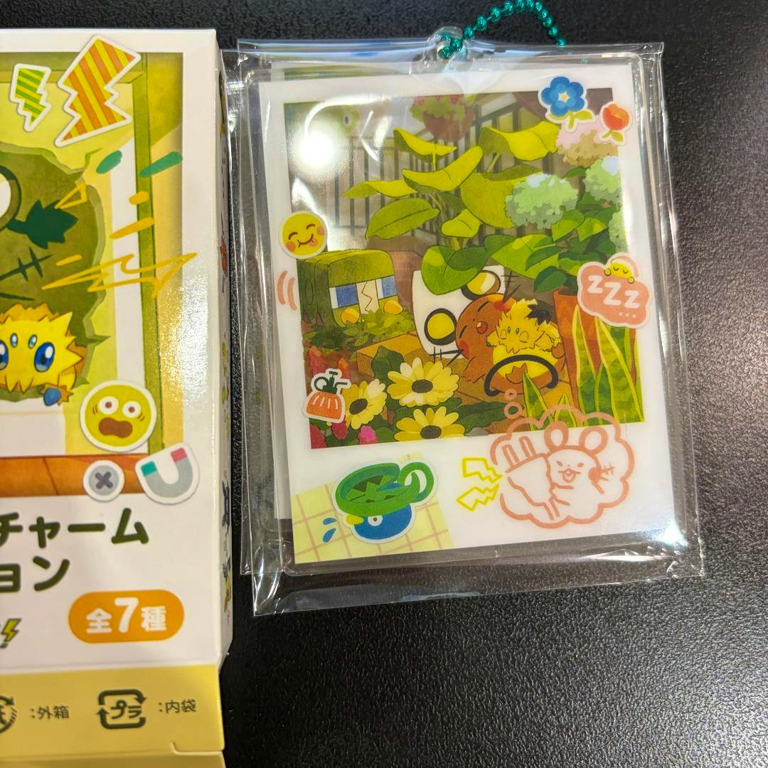 Packaged two-layer acrylic keychain charm featuring a Dedenne design in a clear plastic sleeve with a green bead chain, shown next to part of its product box.