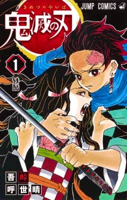 Cover art of the Demon Slayer book showing two illustrated characters, one holding a sword.