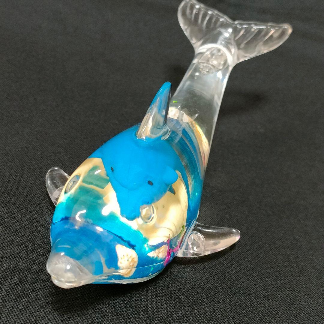 Clear plastic dolphin-shaped paperweight with blue interior decoration photographed on a black background.