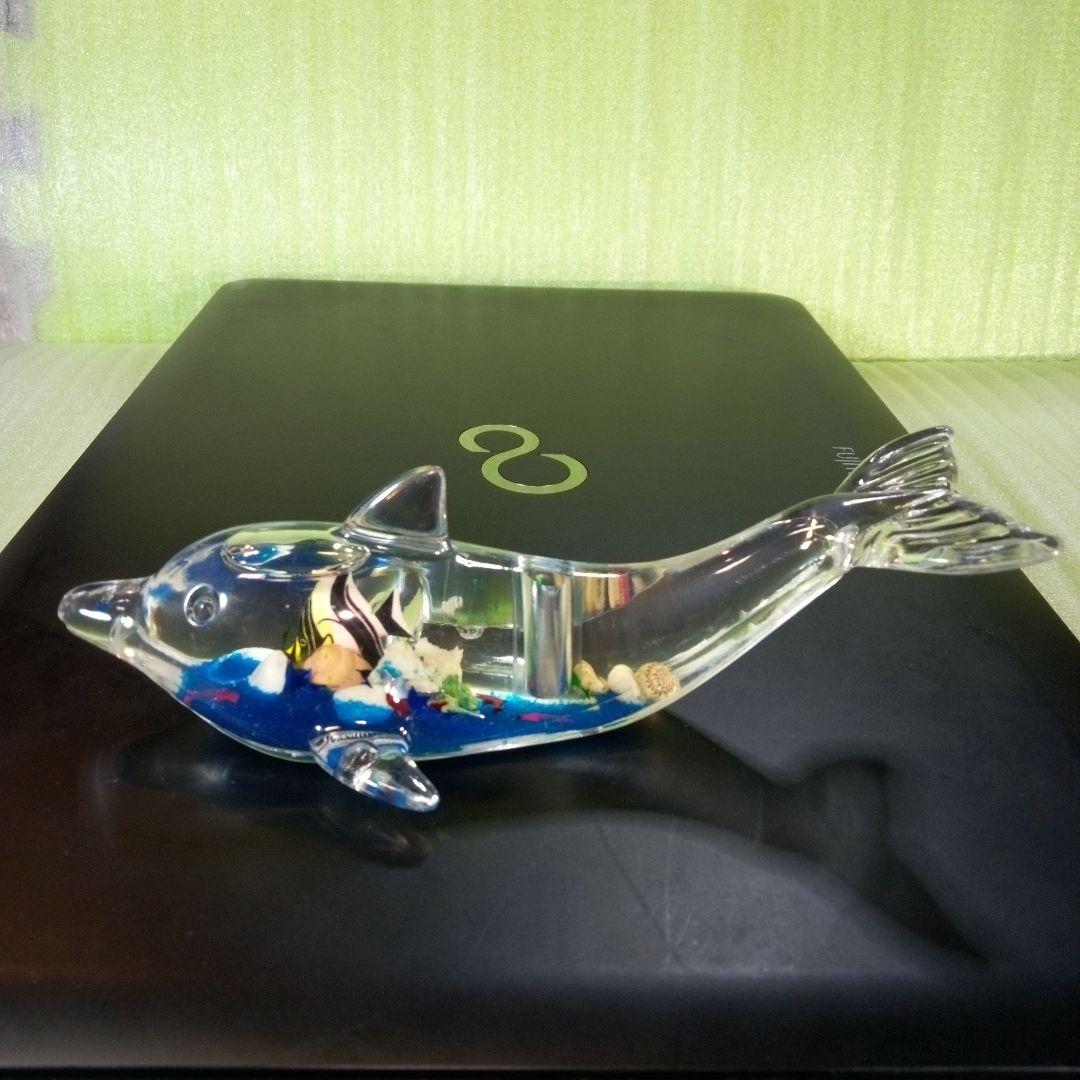 Clear dolphin-shaped plastic paperweight with blue and shell-like decorations resting on a black surface.