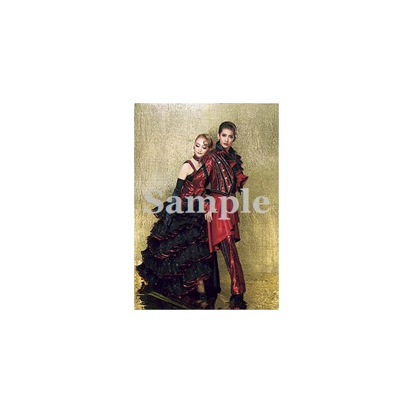 Photograph of two performers in red and black stage costumes standing against a gold background with a "sample" watermark across the image.