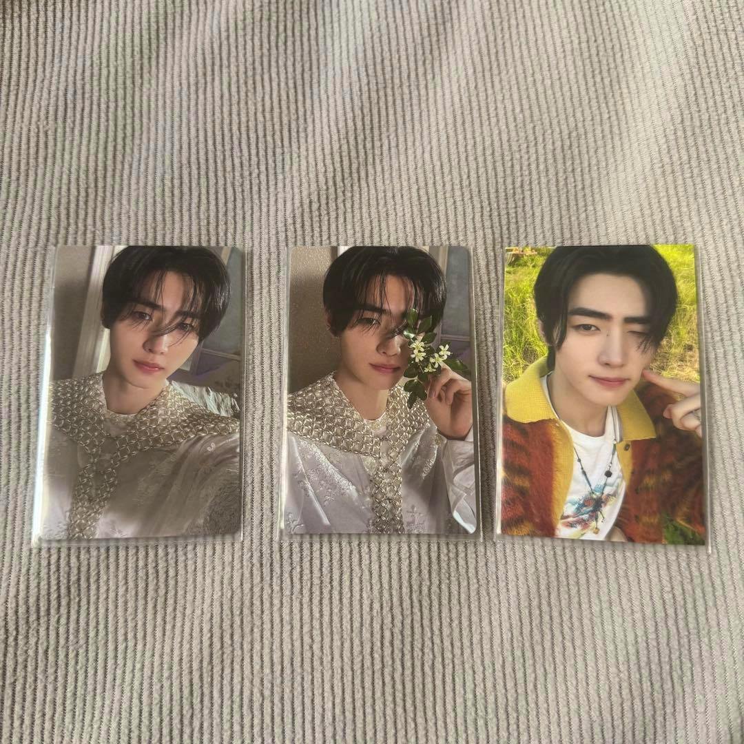 Three Orange Blood photocards showing the front portrait photos of the cards placed on a ribbed fabric.