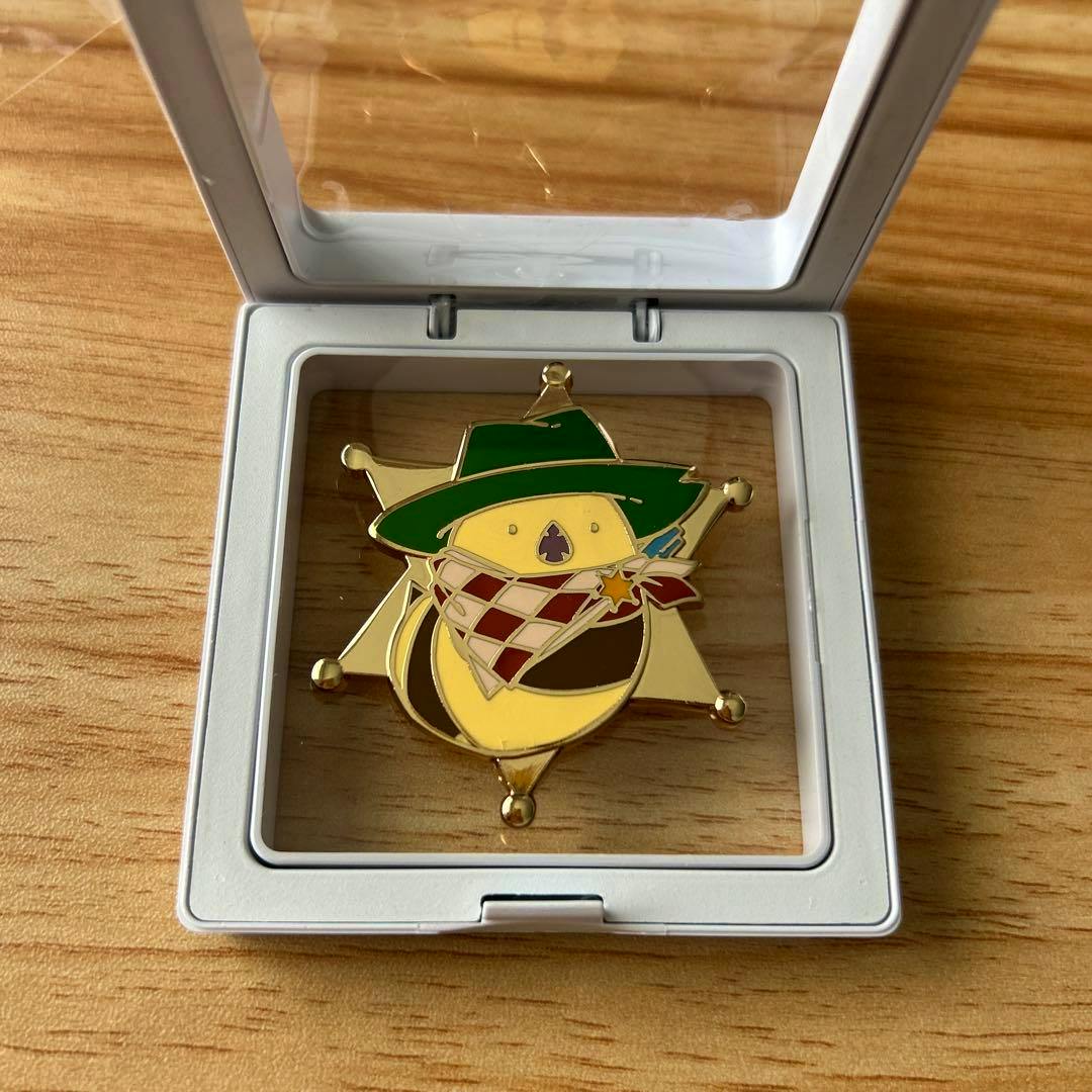 Front of the FFXIV pin badge with colored enamel design displayed inside a clear plastic case on a wooden surface.