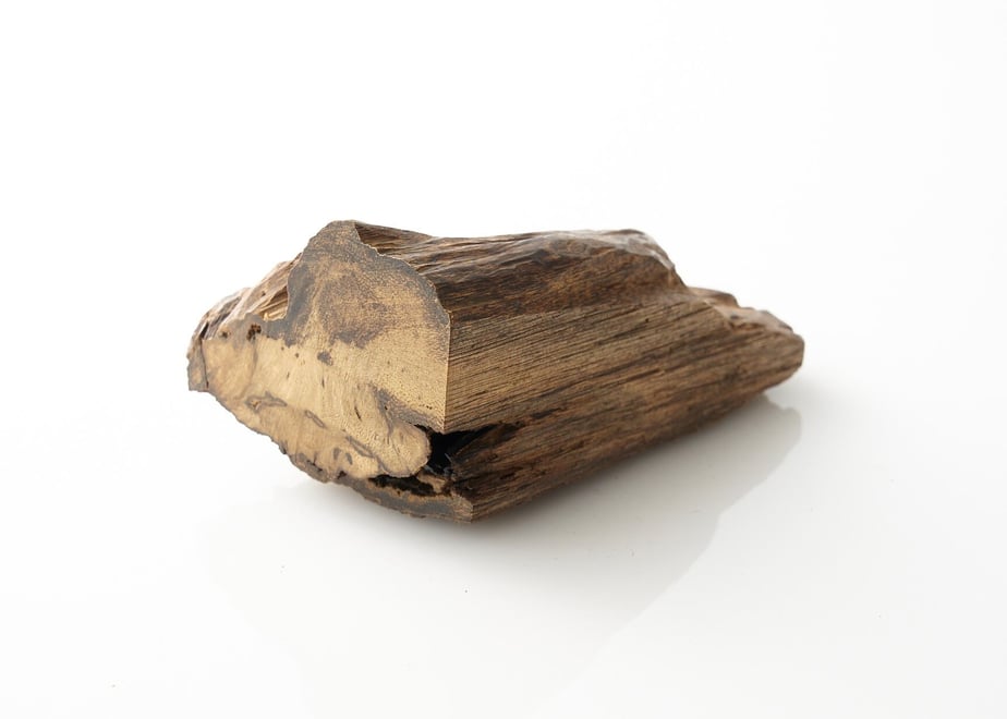 A small piece of incense agarwood (沈香) photographed on a white background.
