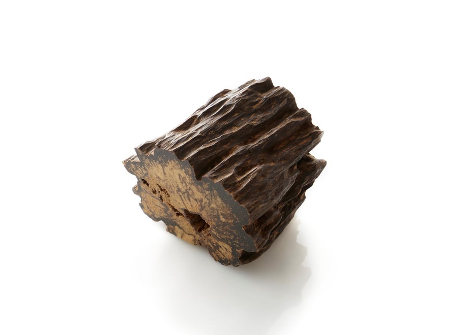 A small piece of agarwood incense showing a textured bark-like exterior and a cut cross-section on a white background.