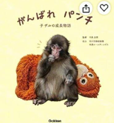 Photo book cover showing a baby monkey sitting next to an orange plush toy with Japanese title text above.