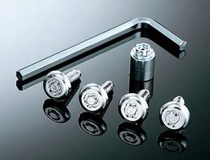 Four metal license plate lock bolts, a cylindrical locking adapter, and an L-shaped hex key on a reflective surface.