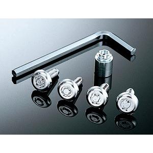 Four metal license plate lock bolts, a locking cylinder, and an L-shaped hex key displayed on a reflective surface.