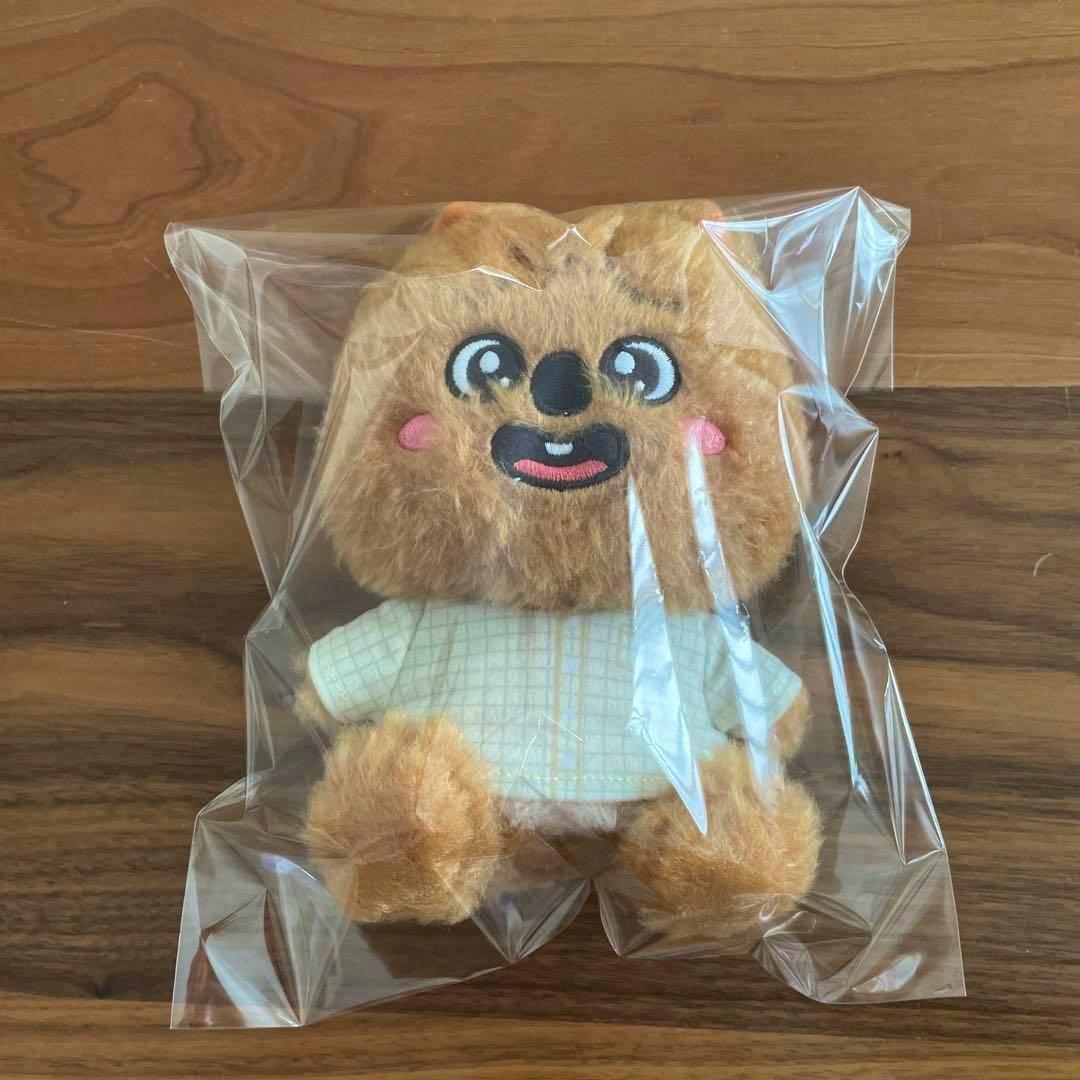 Front view of the GiGO SKZOO HANQUOKKA pajama plush in its clear plastic packaging on a wooden surface.