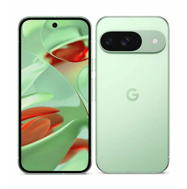 Front and back of a winter-green Google Pixel 9 smartphone shown against a white background.