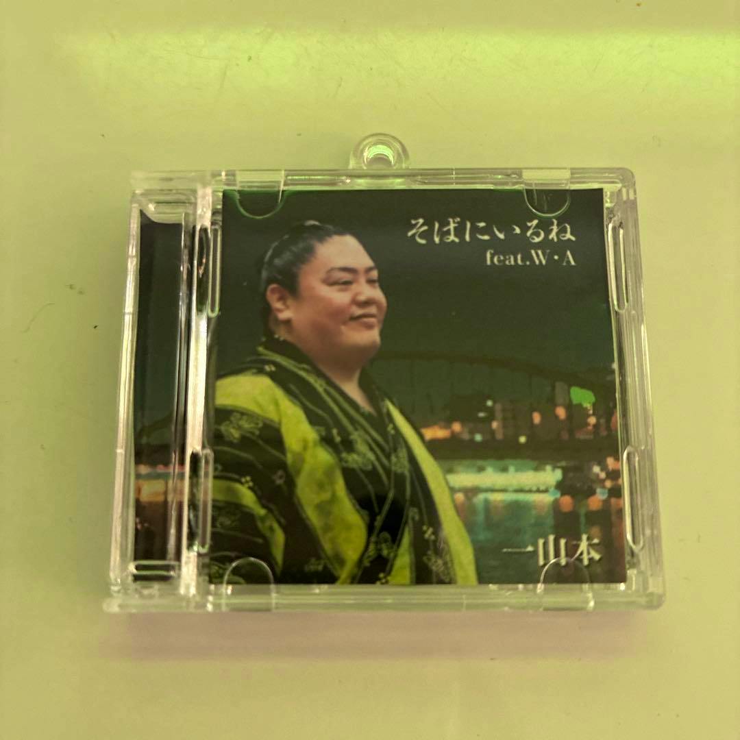 An acrylic CD-style keychain in a clear plastic case displaying a printed image of a sumo wrestler in a green and black robe.