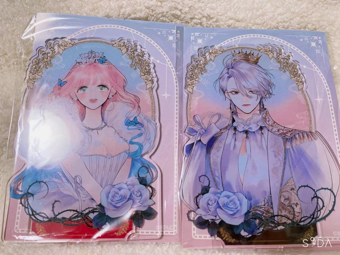 Front photo of two packaged acrylic decorative stands from the title showing a pink-haired female and a silver-haired male illustrated character.