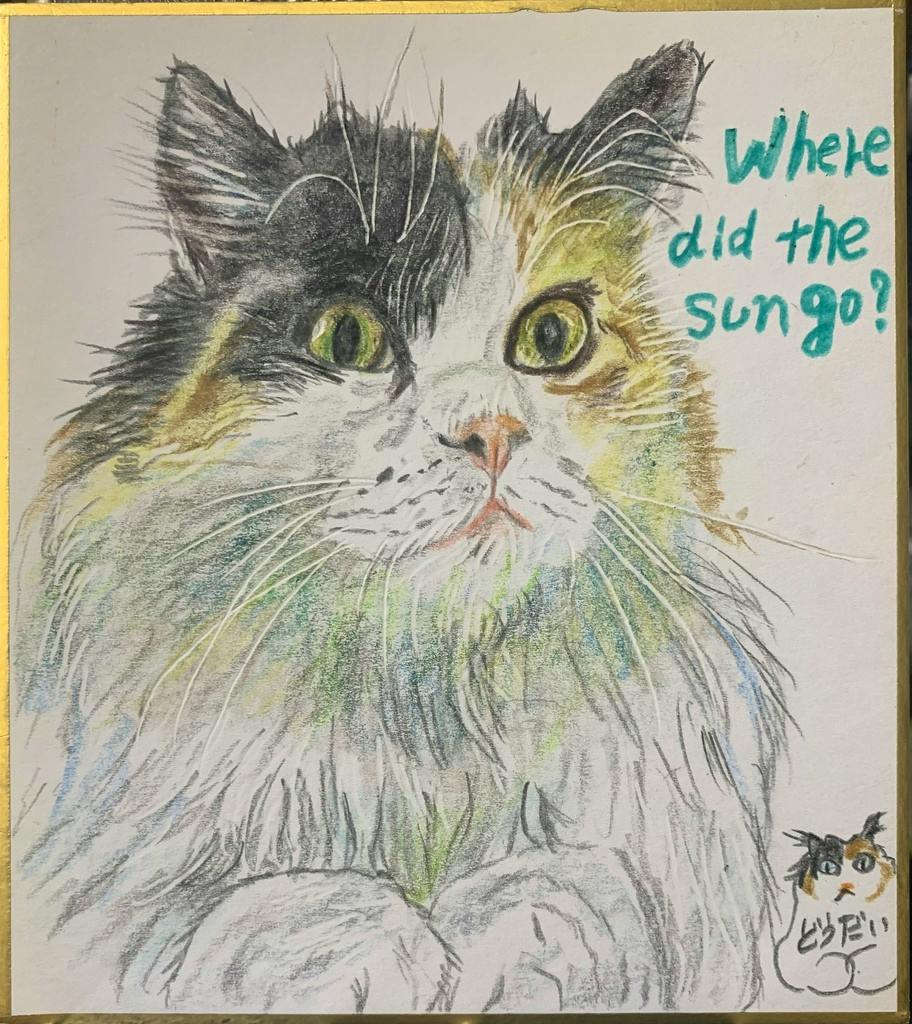 Hand-drawn illustration of a fluffy long-haired cat with green eyes and the handwritten words 'Where did the sun go?'.