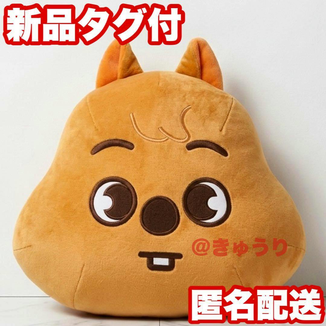 Front view of a brown dome-shaped SKZOO plush toy with embroidered eyes, nose, mouth, and small ears on a white background.
