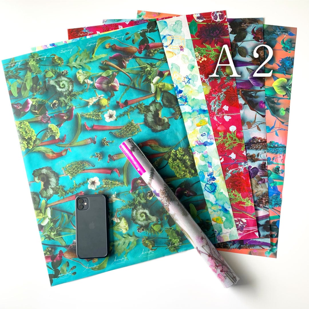 Several patterned wrapping paper sheets fanned out with a smartphone and a roll of wrapping paper on a white background.