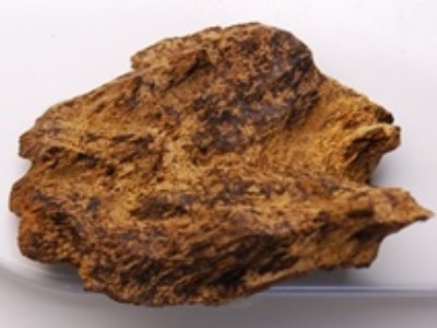 A close-up photo of a piece of natural Vietnamese agarwood on a white background.