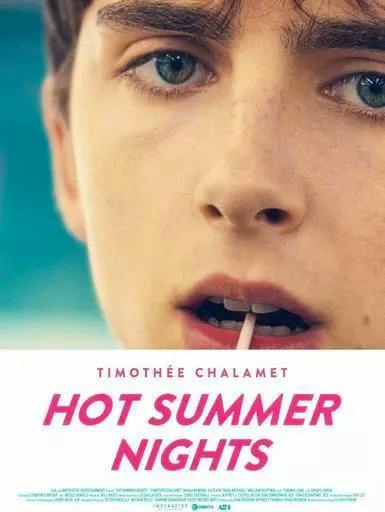 Blu-ray cover art showing a close-up of a young man's face with the title "HOT SUMMER NIGHTS" and the name Timothée Chalamet.