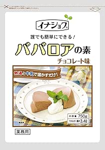 Front of the Ina Foods chocolate bavarois pudding powder package showing a photo of two slices of chocolate bavarois served with whipped cream and a mint garnish.