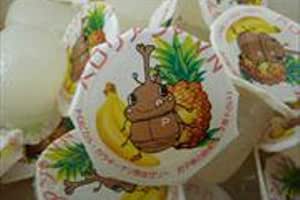 Close-up photo of insect jelly cups showing the product labels with a cartoon beetle and fruit images.