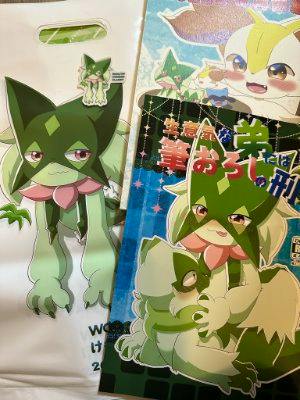Photo of the comic book from the けもケット17新刊セット showing the cover art of a green anthropomorphic character next to a matching plastic bag.