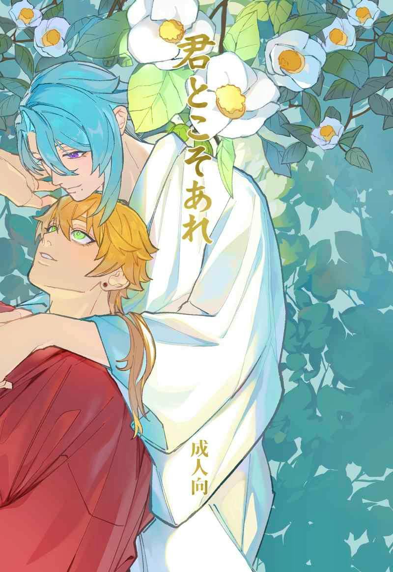Color cover art of the comic showing two characters, one with blue hair and one with orange hair, among white flowers and the Japanese title "君とこそあれ".