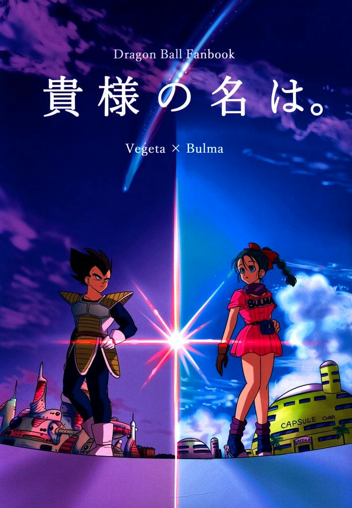 Cover of the comic book fanbook showing Vegeta and Bulma standing opposite each other beneath a starburst, with Japanese title text and the words "Dragon Ball Fanbook Vegeta × Bulma".