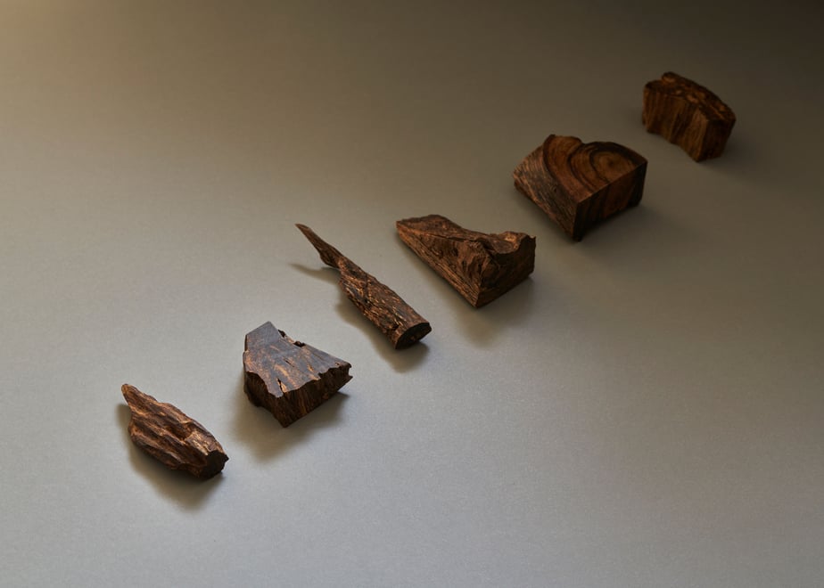 Several small pieces of incense wood arranged on a neutral gray background.